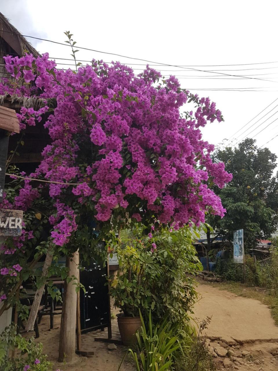 Lattanavongsa Guesthouse And Bungalows Muang Ngoi Eksteriør billede
